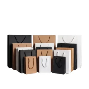 Kraft Paper Bag Packaging-1