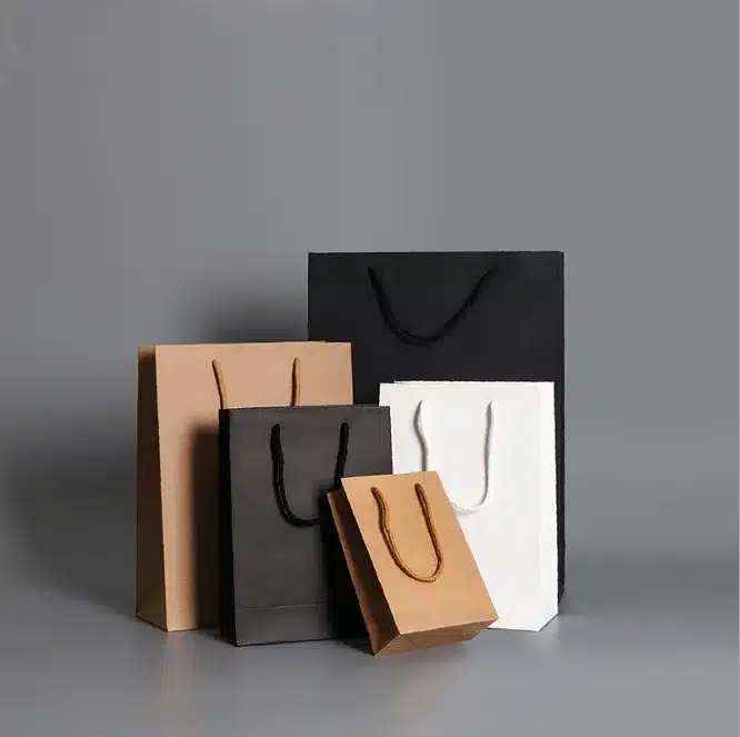 Kraft Paper Bag Packaging-6