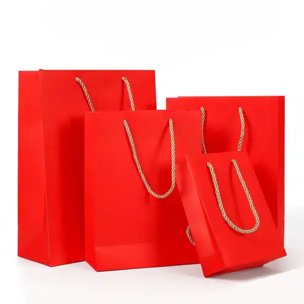Cardboard Paper Bags